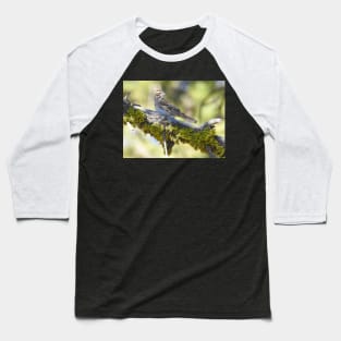 Wild birds, lark sparrow, wildlife, A Forest Gem Baseball T-Shirt